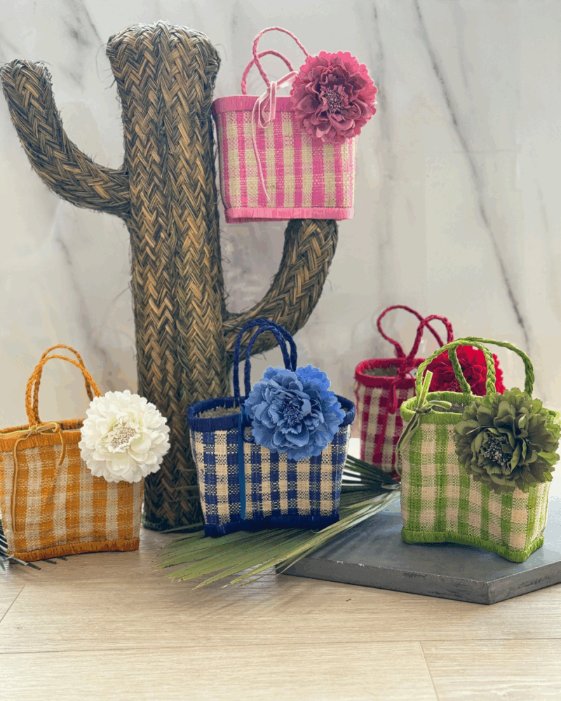 Cesta Vichy